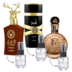 Combo Mais  Vendidos Masculino 3 Fracionados 5ml