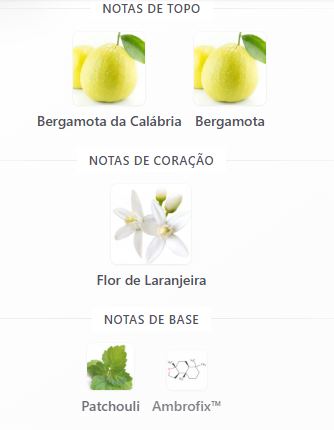 Mindset Maison 100 ML - Imagem 4